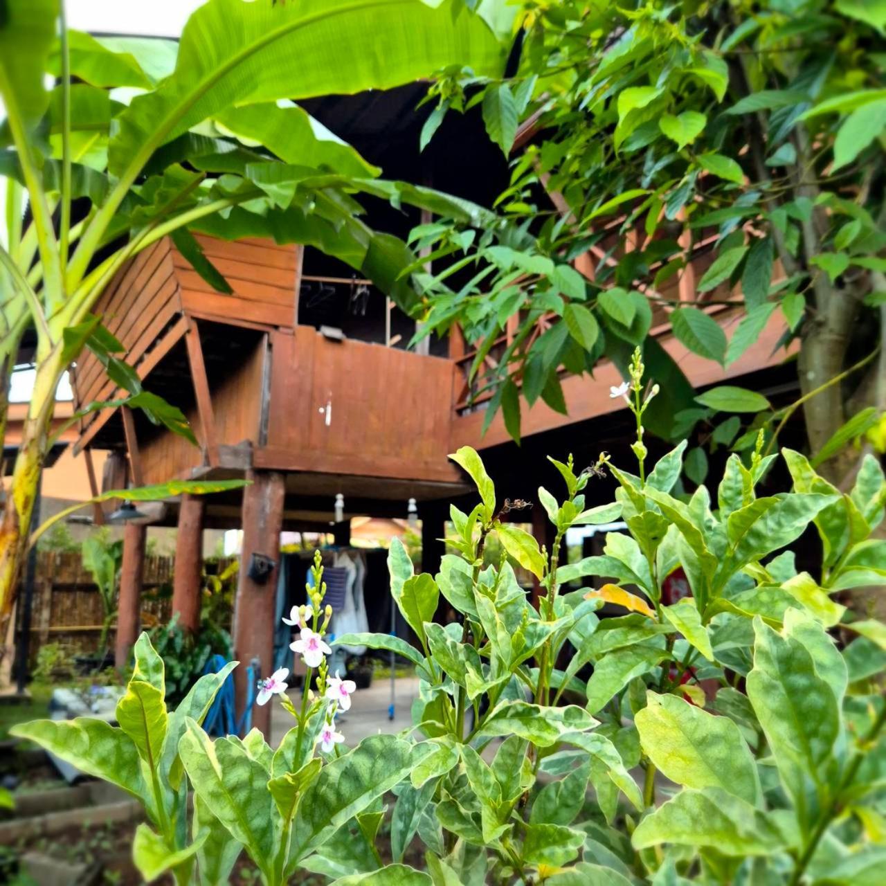 Kedthawa Homestay เฮือนเก็ดถะหวา Ban Cho Lae Exterior foto